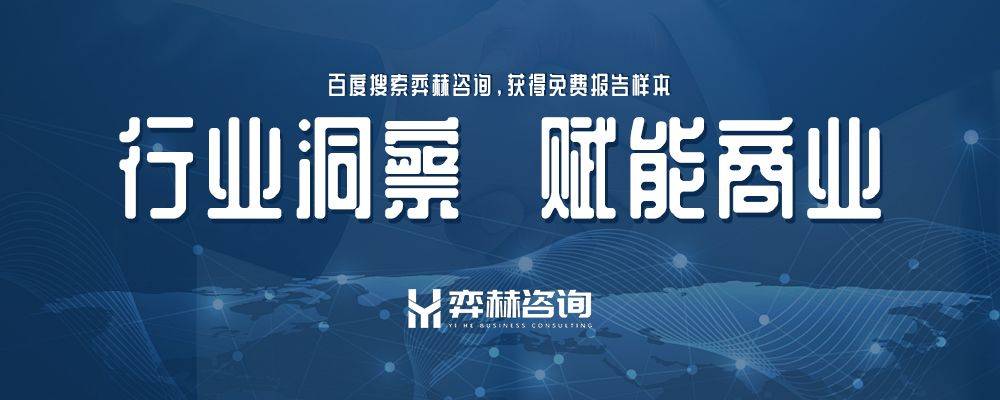 2025年滑冰设备及配件市场新利体育luck18全面分析(图3)